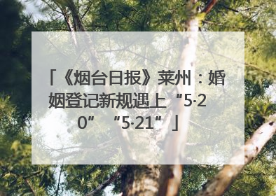 《烟台日报》莱州：婚姻登记新规遇上“5·20”“5·21”