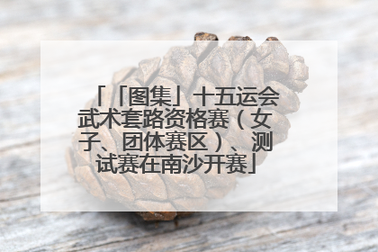 「图集」十五运会武术套路资格赛（女子、团体赛区）、测试赛在南沙开赛