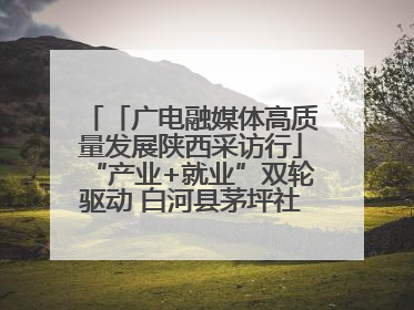 「广电融媒体高质量发展陕西采访行」“产业+就业”双轮驱动 白河县茅坪社区打造易地搬迁后扶新样本