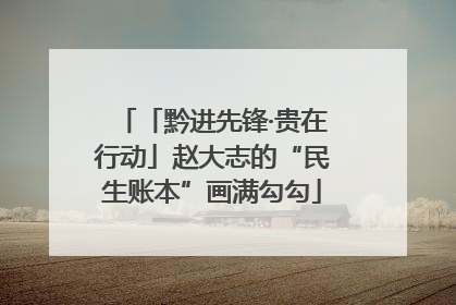 「黔进先锋·贵在行动」赵大志的“民生账本”画满勾勾