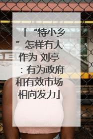 “特小乡”怎样有大作为 刘亭：有为政府和有效市场相向发力
