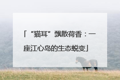 “猫耳”飘散荷香：一座江心岛的生态蜕变