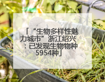 “生物多样性魅力城市”浙江绍兴：已发现生物物种5954种