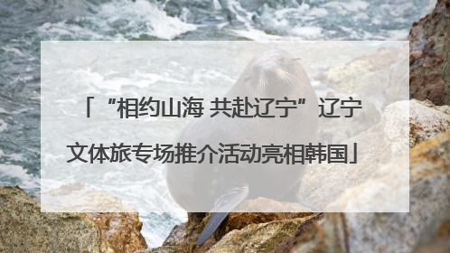 “相约山海 共赴辽宁”辽宁文体旅专场推介活动亮相韩国