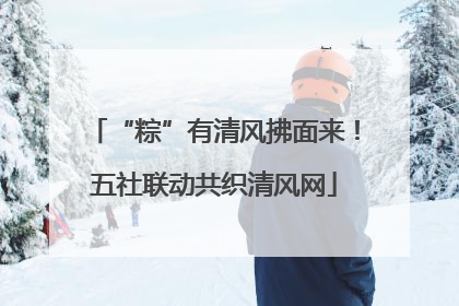 “粽”有清风拂面来！五社联动共织清风网