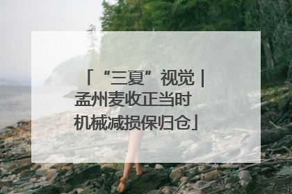 “三夏”视觉｜孟州麦收正当时 机械减损保归仓