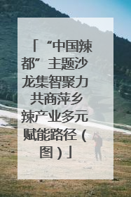 “中国辣都”主题沙龙集智聚力 共商萍乡辣产业多元赋能路径（图）