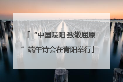 “中国陵阳·致敬屈原”端午诗会在青阳举行