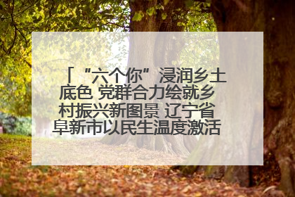 “六个你”浸润乡土底色 党群合力绘就乡村振兴新图景 辽宁省阜新市以民生温度激活乡村善治密码