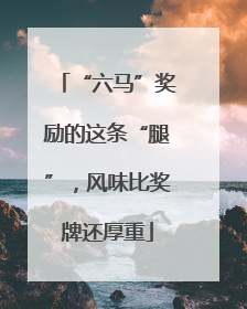 “六马”奖励的这条“腿”，风味比奖牌还厚重