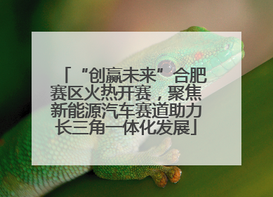 “创赢未来”合肥赛区火热开赛，聚焦新能源汽车赛道助力长三角一体化发展
