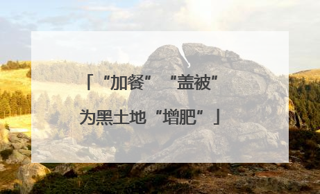 “加餐”“盖被” 为黑土地“增肥”