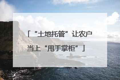 “土地托管”让农户当上“甩手掌柜”