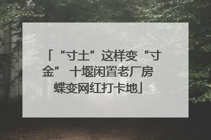 “寸土”这样变“寸金” 十堰闲置老厂房蝶变网红打卡地