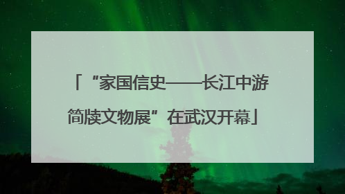 “家国信史——长江中游简牍文物展”在武汉开幕