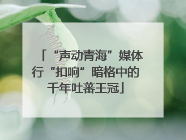 “声动青海”媒体行“扣响”暗格中的千年吐蕃王冠