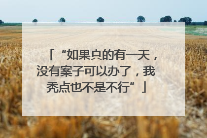 “如果真的有一天，没有案子可以办了，我秃点也不是不行”