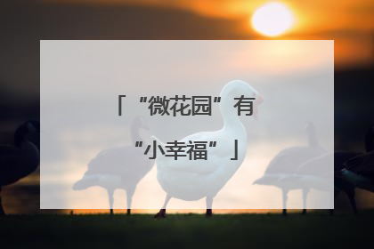 “微花园”有“小幸福”