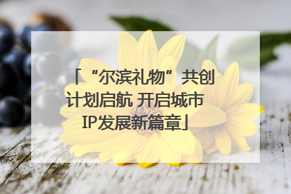 “尔滨礼物”共创计划启航 开启城市IP发展新篇章