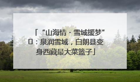“山海情・雪域援梦”⑪：泉润雪域，白朗县变身西藏最大菜篮子