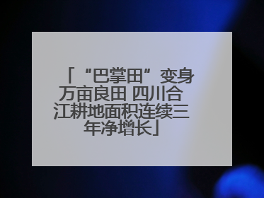 “巴掌田”变身万亩良田 四川合江耕地面积连续三年净增长