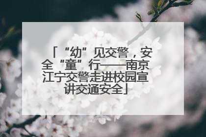 “幼”见交警，安全“童”行——南京江宁交警走进校园宣讲交通安全