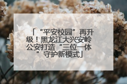 “平安校园”再升级！黑龙江大兴安岭公安打造“三位一体”守护新模式
