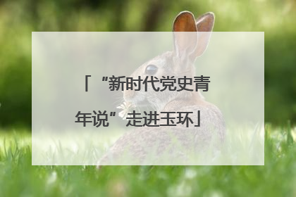 “新时代党史青年说”走进玉环