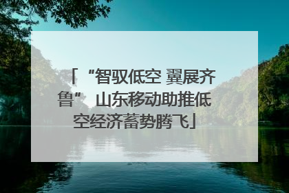 “智驭低空 翼展齐鲁” 山东移动助推低空经济蓄势腾飞