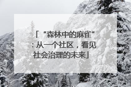 “森林中的麻雀”：从一个社区，看见社会治理的未来