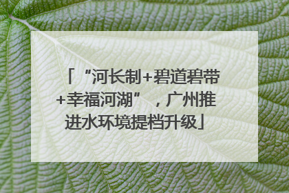 “河长制+碧道碧带+幸福河湖”，广州推进水环境提档升级