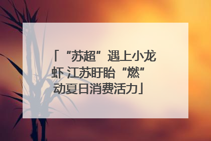 “苏超”遇上小龙虾 江苏盱眙“燃”动夏日消费活力