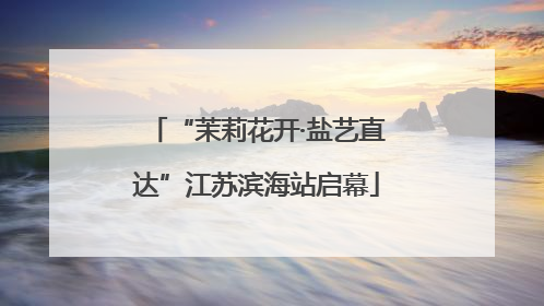 “茉莉花开·盐艺直达”江苏滨海站启幕
