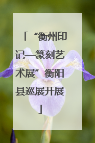 “衡州印记—篆刻艺术展”衡阳县巡展开展