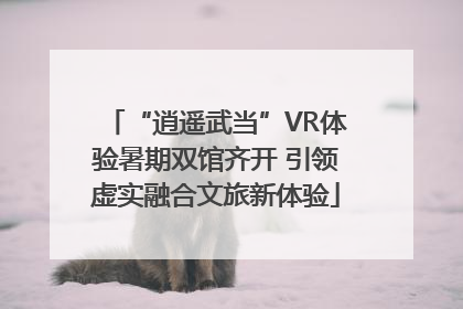“逍遥武当”VR体验暑期双馆齐开 引领虚实融合文旅新体验