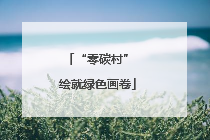 “零碳村” 绘就绿色画卷