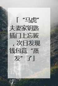 “马虎”夫妻家钥匙插门上忘拔，次日发现钱包竟“蒸发”了