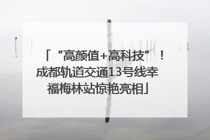 “高颜值+高科技”！成都轨道交通13号线幸福梅林站惊艳亮相