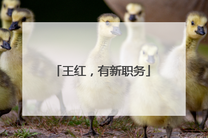 王红，有新职务