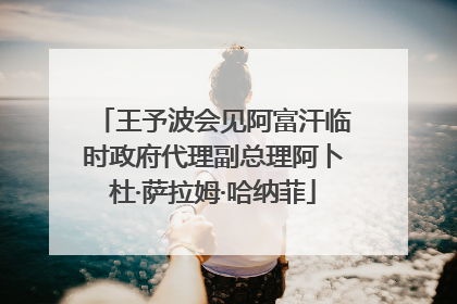 王予波会见阿富汗临时政府代理副总理阿卜杜·萨拉姆·哈纳菲