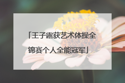 王子露获艺术体操全锦赛个人全能冠军
