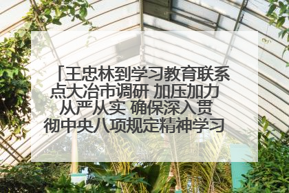 王忠林到学习教育联系点大冶市调研 加压加力 从严从实 确保深入贯彻中央八项规定精神学习教育取得实效