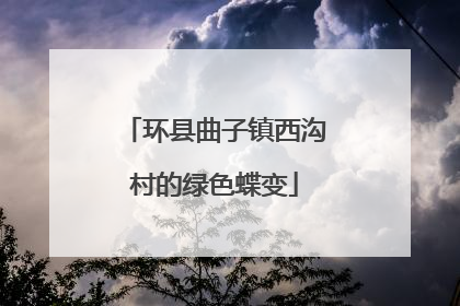 环县曲子镇西沟村的绿色蝶变