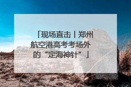 现场直击丨郑州航空港高考考场外的“定海神针”