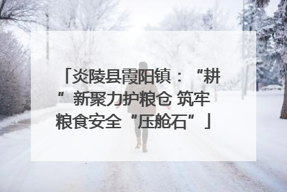 炎陵县霞阳镇：“耕”新聚力护粮仓 筑牢粮食安全“压舱石”