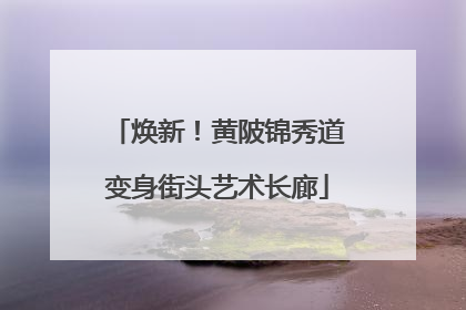 焕新！黄陂锦秀道变身街头艺术长廊