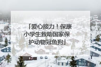 爱心接力！保康小学生救助国家保护动物冠鱼狗