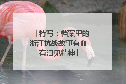 特写：档案里的浙江抗战故事有血有泪见精神