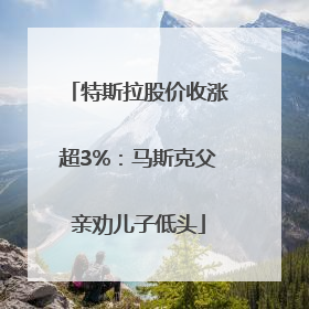 特斯拉股价收涨超3%：马斯克父亲劝儿子低头