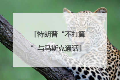 特朗普“不打算”与马斯克通话
